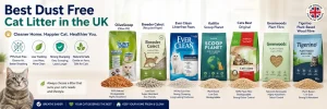 Best Dust Free Cat Litter in the UK
