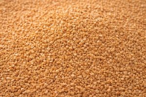 Olive Pit Cat Litter