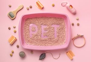 How to Choose the Best Litter Box