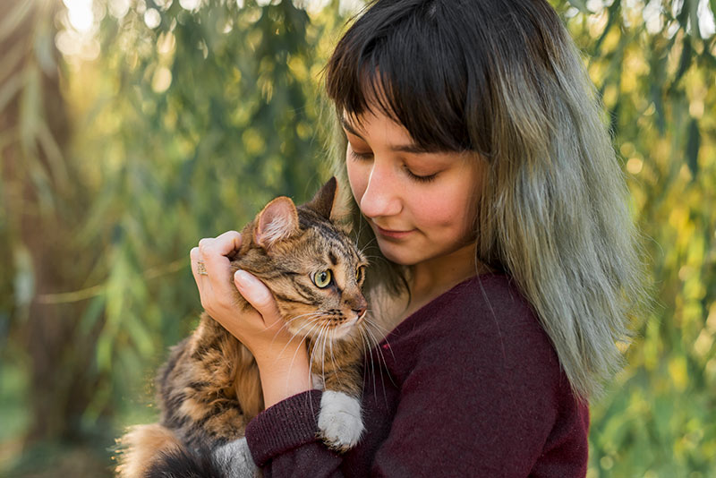 Human Food for Cats