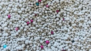 Clay Cat Litter