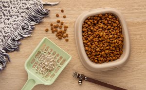 cat litter